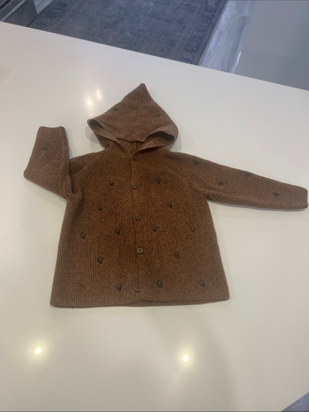 Zara Brown Hooded Knit Button-Up Jacket with Dot Embroidery